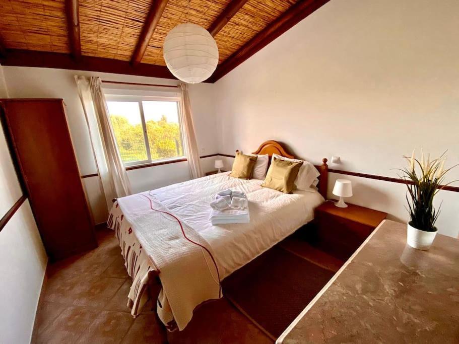 Palma'S Place Casanova Villa #Wifi#Heatedpool#Relax FAO Exteriör bild